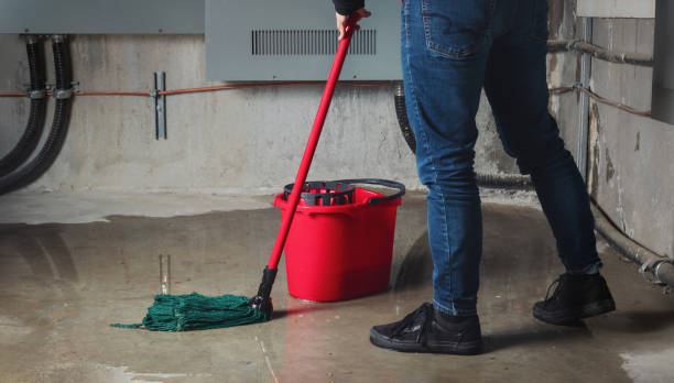 Best Flood restoration services  in Moultrie, GA