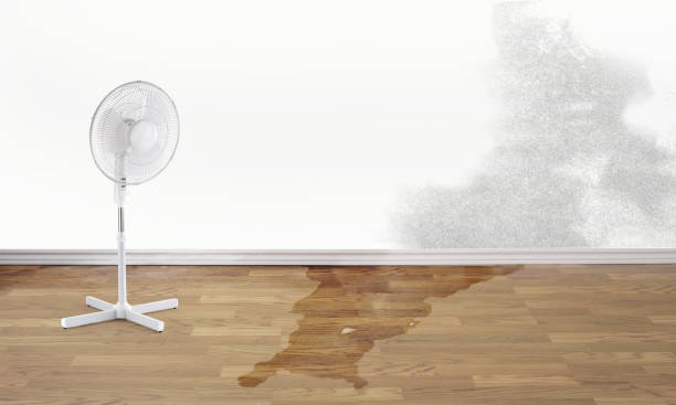 Best 24-hour water damage restoration  in Moultrie, GA