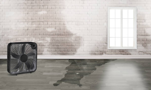 Best Fire Damage Restoration  in Moultrie, GA