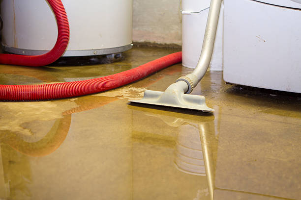 Best Water damage restoration company  in Moultrie, GA