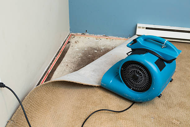 Best Water damage restoration near me  in Moultrie, GA